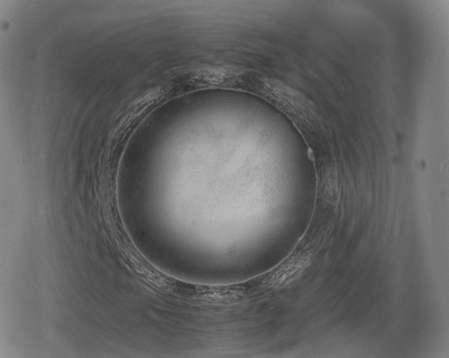 X0000080161105200612081328