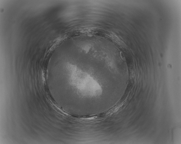 X0000080161106200612081328