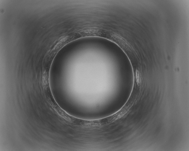 X0000080161107200612081328