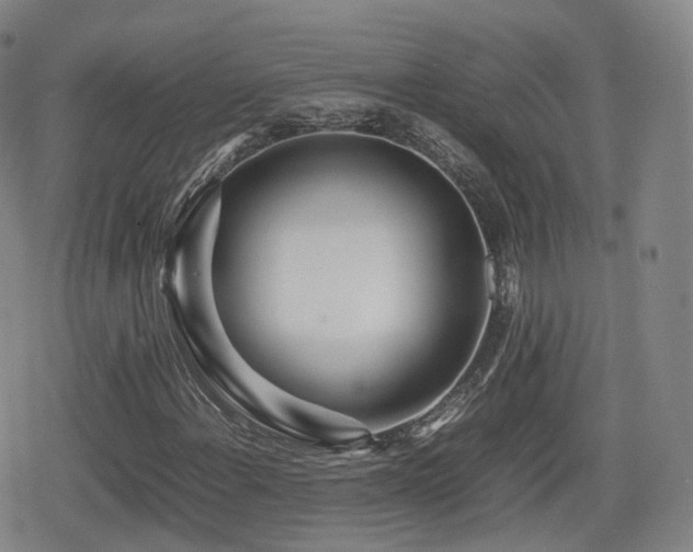 X0000080161108200612081328