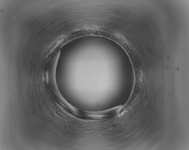 X0000080161110200612081328