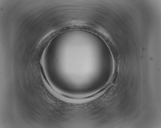 X0000080161112200612081328