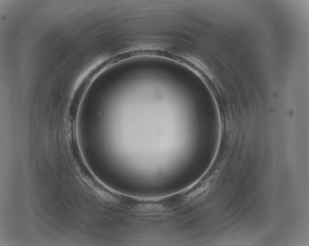 X0000080161119200612081328