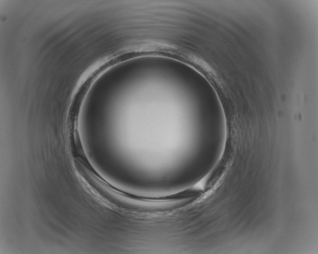 X0000080161122200612081328