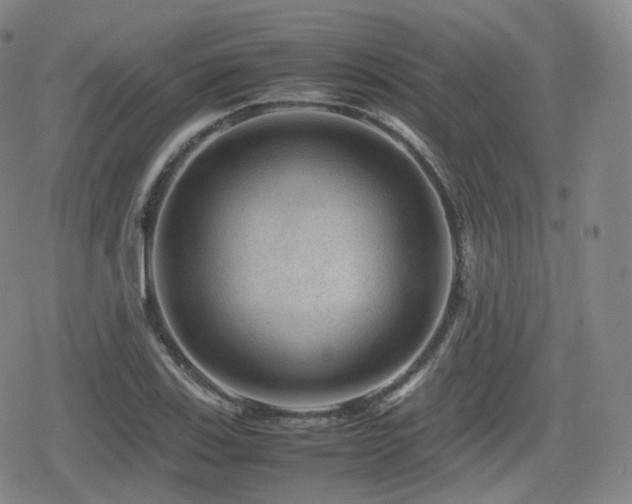 X0000080161123200612081328