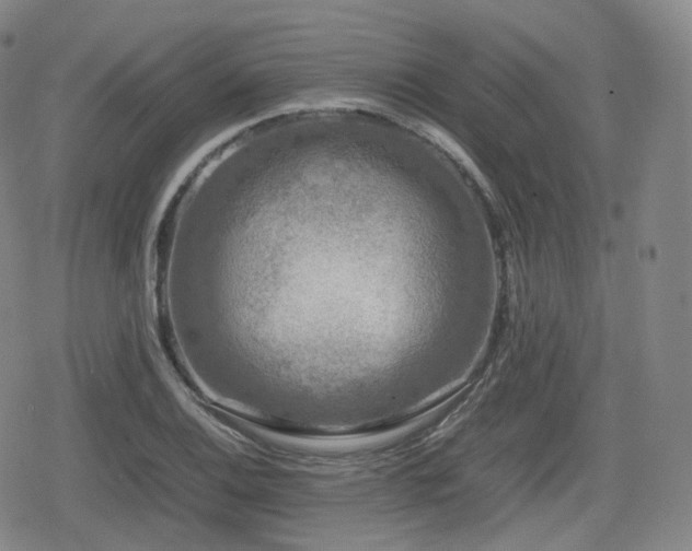 X0000080161124200612081328