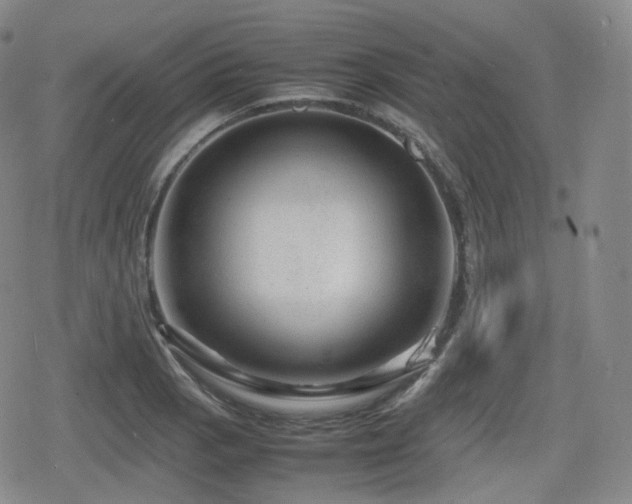 X0000080161129200612081328
