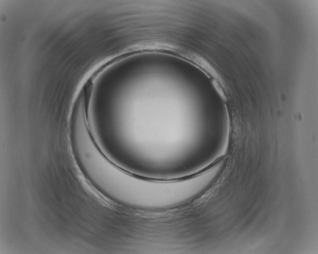 X0000080161132200612081328