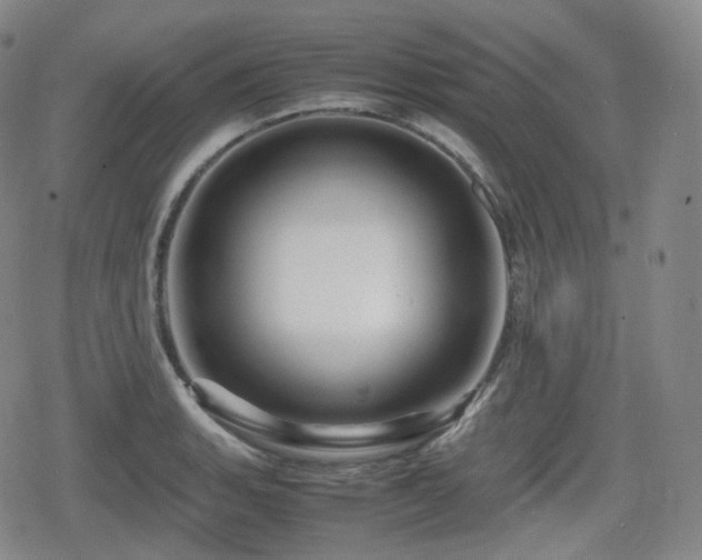 X0000080161135200612081329