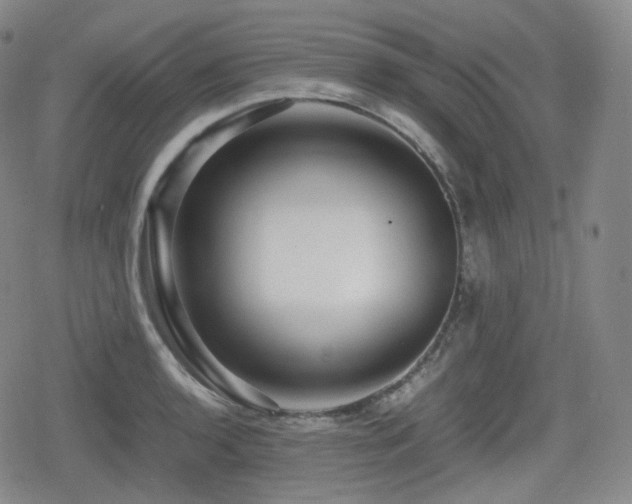 X0000080161136200612081329