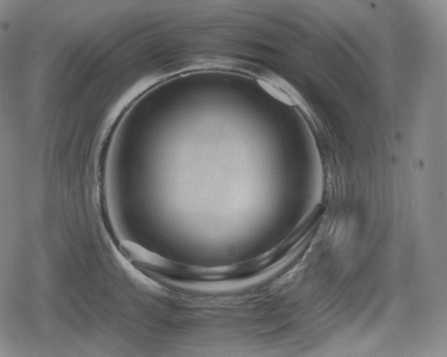 X0000080161143200612081329