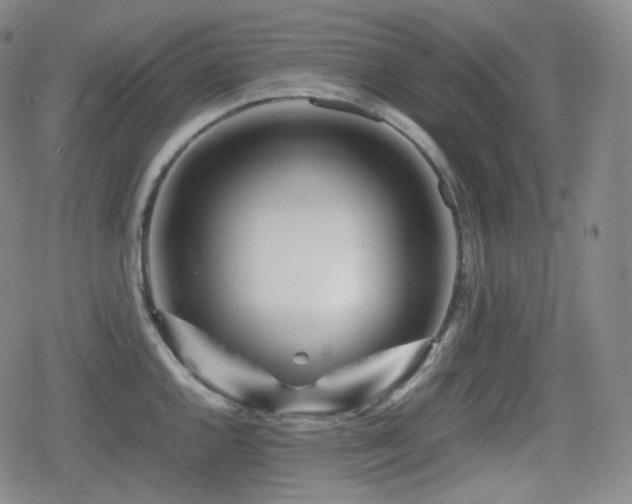 X0000080161144200612081329