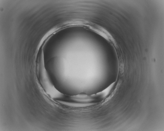 X0000080161146200612081329