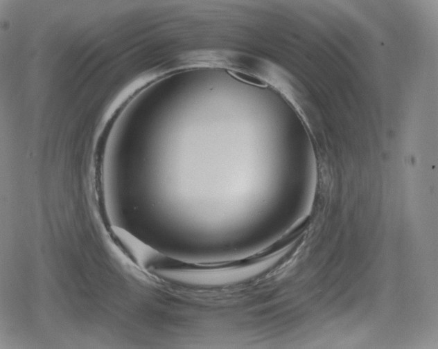X0000080161147200612081329