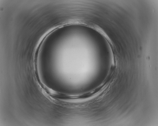 X0000080161148200612081329