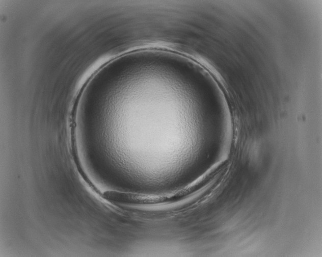 X0000080161151200612081329
