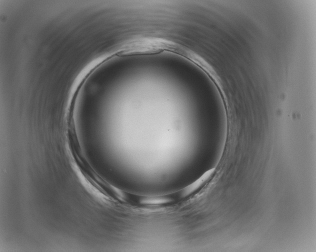 X0000080161152200612081329