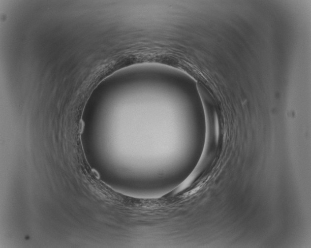 X0000080161153200612081328