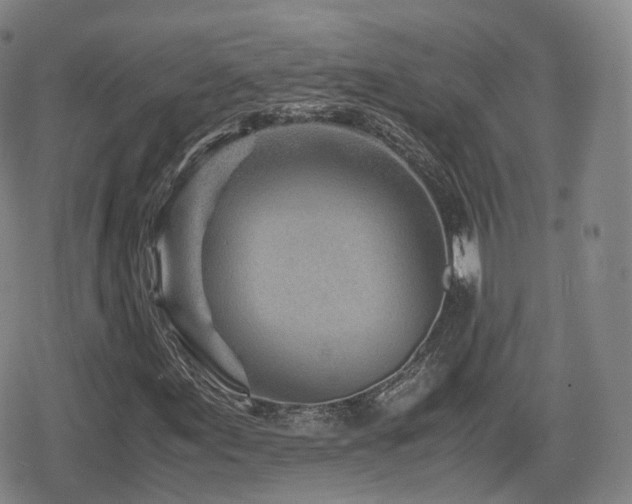 X0000080161155200612081328