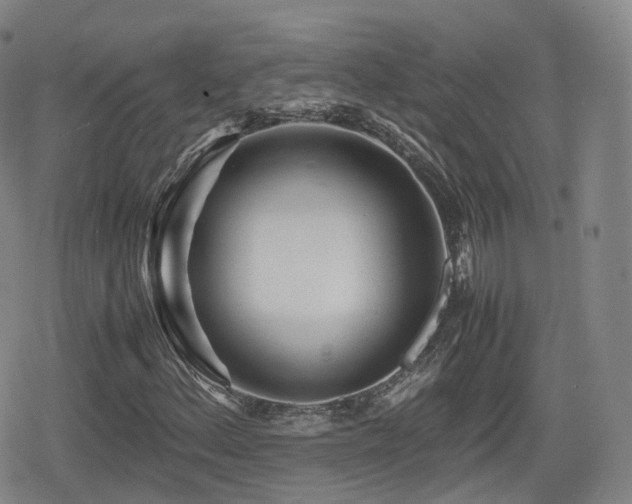 X0000080161156200612081328