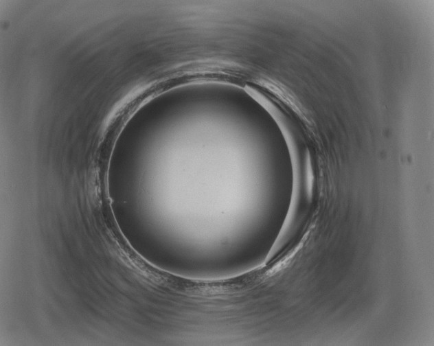 X0000080161164200612081328