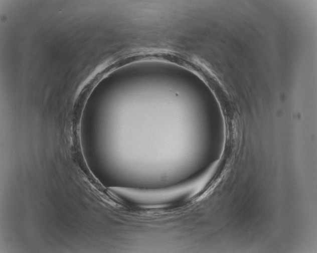 X0000080161165200612081328