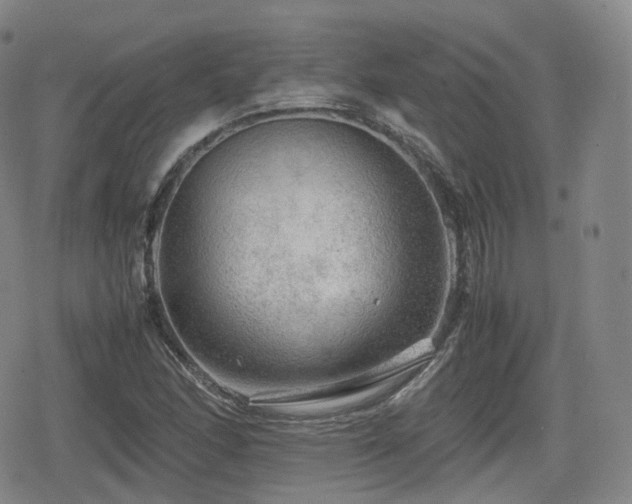 X0000080161166200612081328
