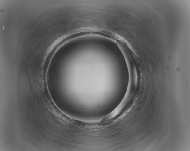 X0000080161168200612081328
