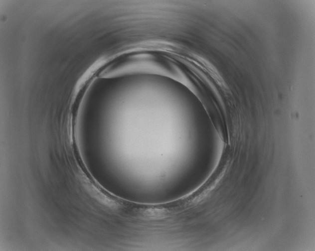X0000080161180200612081328