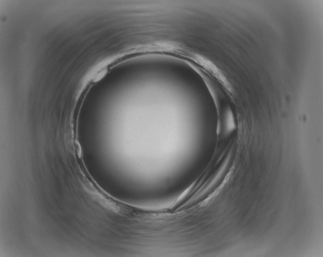 X0000080161184200612081328
