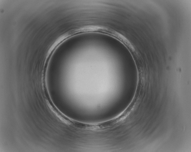 X0000080161186200612081327