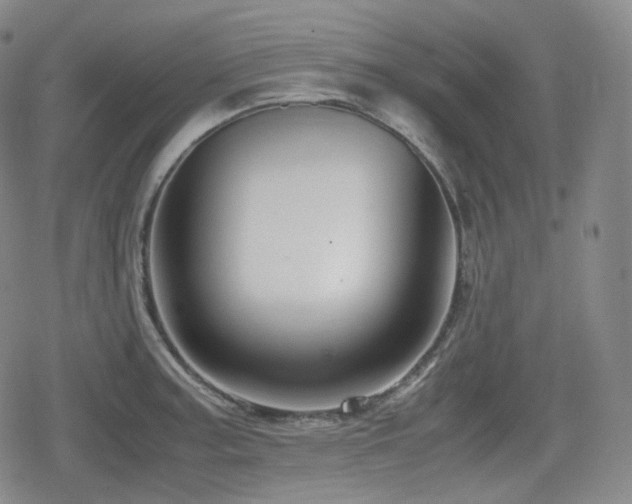 X0000080161187200612081327