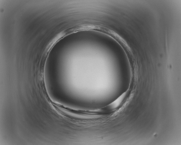 X0000080161193200612081327