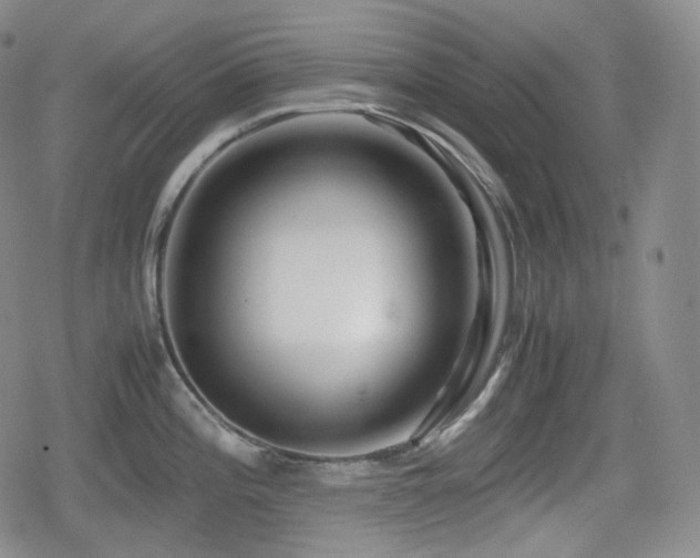 X0000080161196200612081327