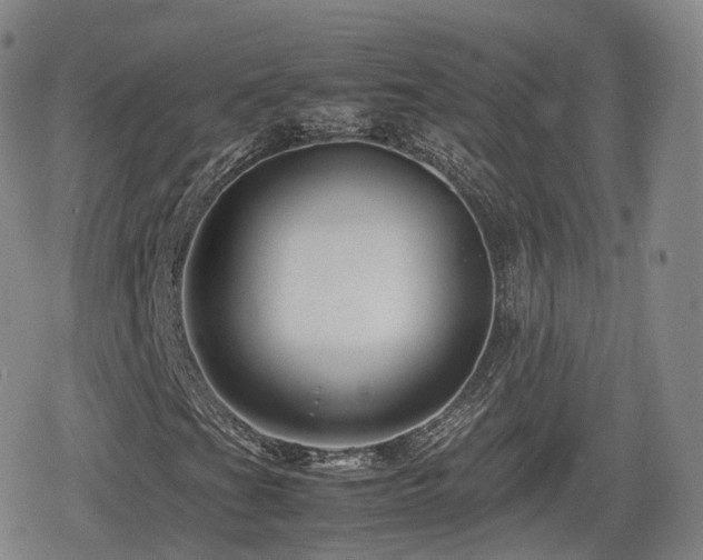 X0000080161201200612081326