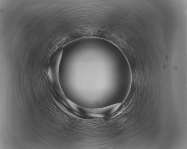 X0000080161202200612081326