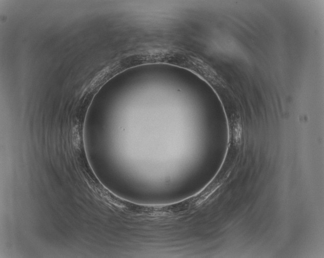 X0000080161204200612081327