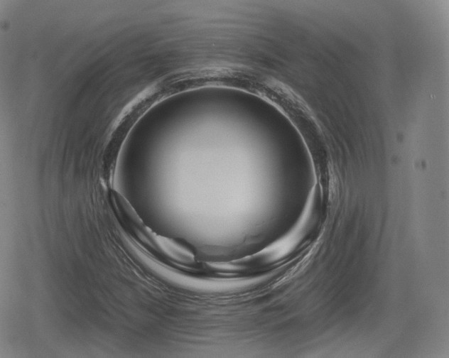 X0000080161210200612081327