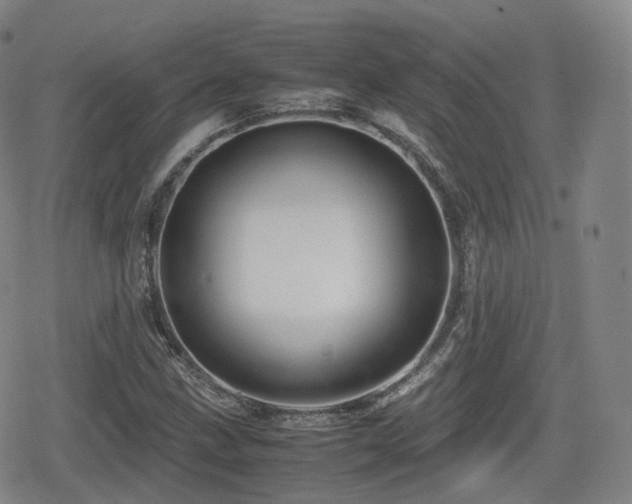 X0000080161211200612081327