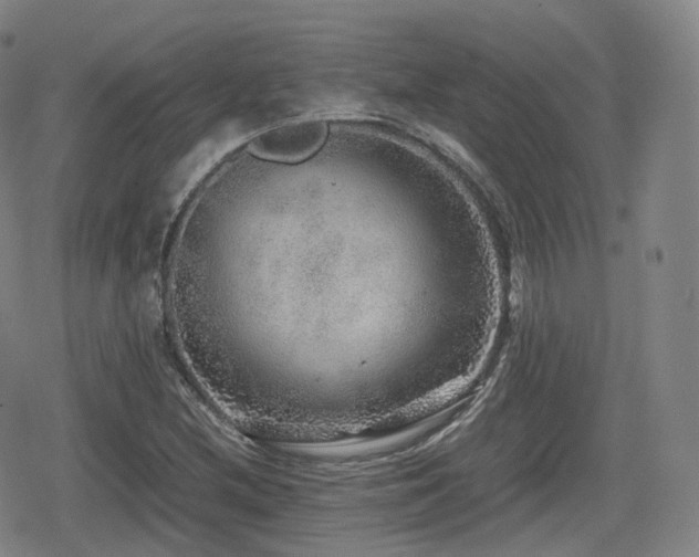 X0000080161212200612081327