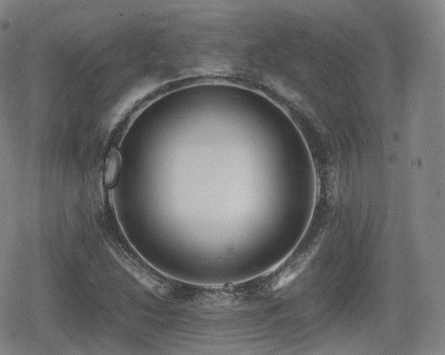 X0000080161214200612081327
