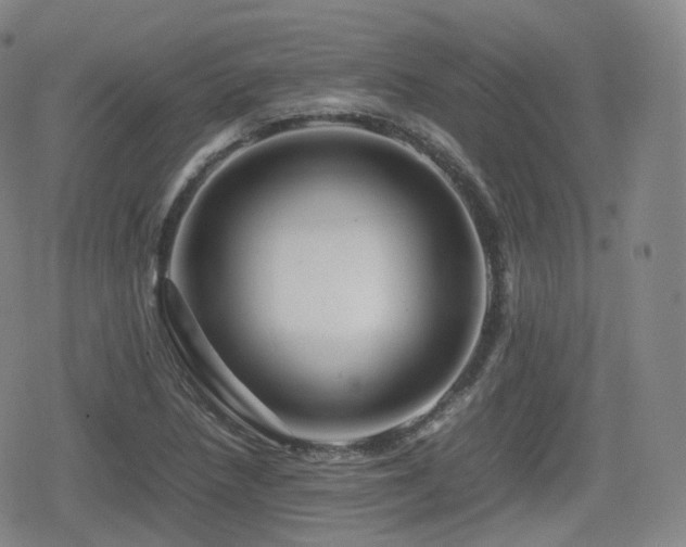 X0000080161218200612081327