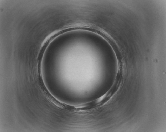 X0000080161222200612081327