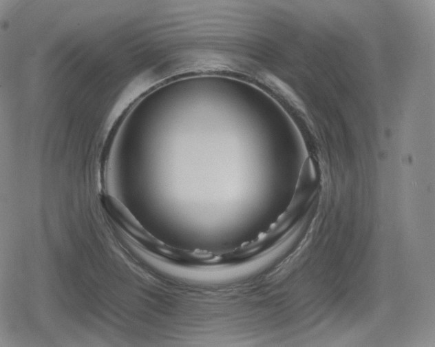 X0000080161226200612081327