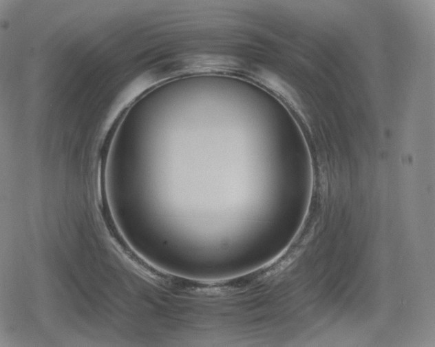 X0000080161227200612081327