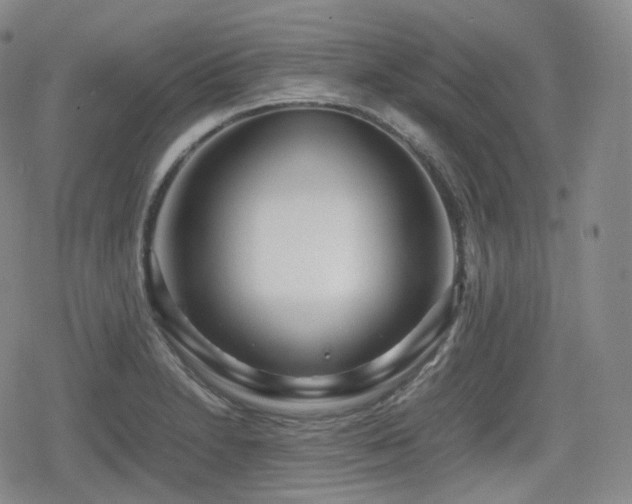 X0000080161230200612081327