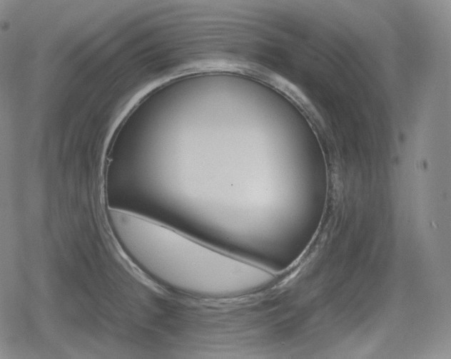 X0000080161236200612081327