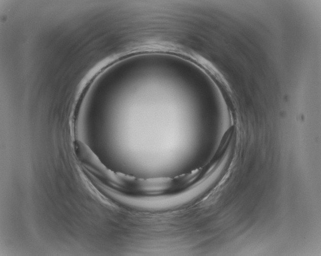X0000080161238200612081327