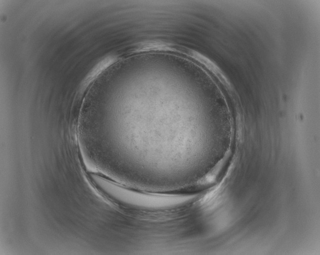 X0000080161241200612081327