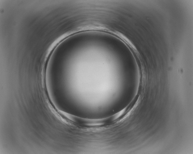 X0000080161246200612081327